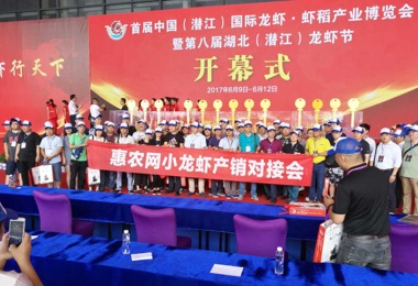 2017監(jiān)利、潛江小龍蝦網(wǎng)上采購節(jié)