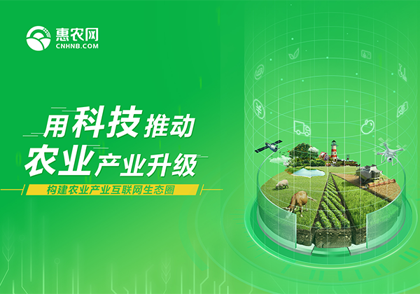 國際商報(bào)專訪 | 對接農(nóng)業(yè)各環(huán)節(jié)助力精準(zhǔn)扶貧 農(nóng)村電子商務(wù)綻放光芒