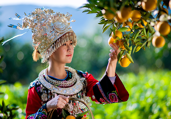 富硒冰糖橙香飄長(zhǎng)沙 愛(ài)心消費(fèi)助麻陽(yáng)果農(nóng)脫貧增收