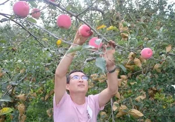 宜川劉雪鋒 ：漂泊十年返鄉(xiāng)創(chuàng)業(yè)，憑一己之力3天銷售蘋果5萬(wàn)元