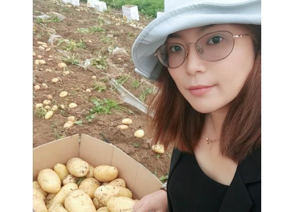 一個月銷售500噸，惠農代賣幫助新手夫婦將土豆賣向全國