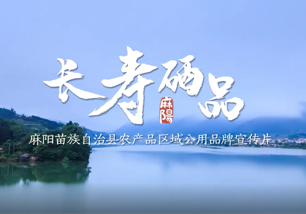 麻陽區(qū)域公用品牌“長(zhǎng)壽硒品”宣傳片