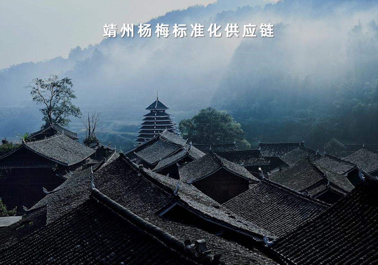 靖州楊梅標準化供應(yīng)鏈