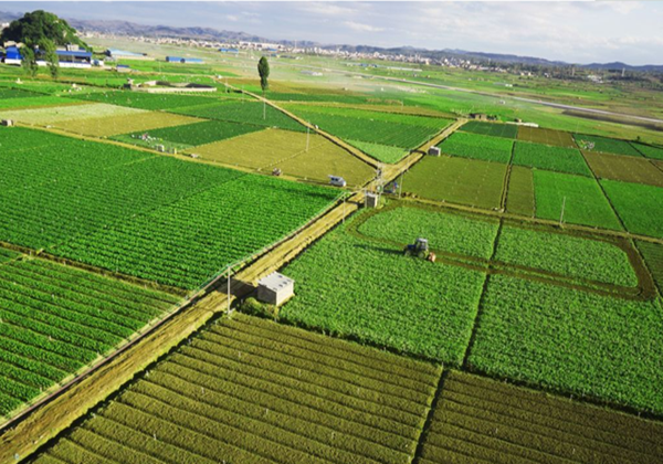 農(nóng)業(yè)農(nóng)村部辦公廳關(guān)于開展2022年全國(guó)休閑農(nóng)業(yè)重點(diǎn)縣申報(bào)和監(jiān)測(cè)工作的通知