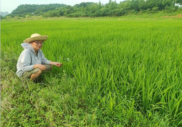 年入200余萬(wàn)元！看80后IT高管如何靠惠農(nóng)網(wǎng)跨界生財(cái)