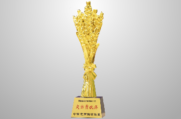 榮獲商務(wù)部中國(guó)電商扶貧聯(lián)盟“2019年突出貢獻(xiàn)獎(jiǎng)”.jpg