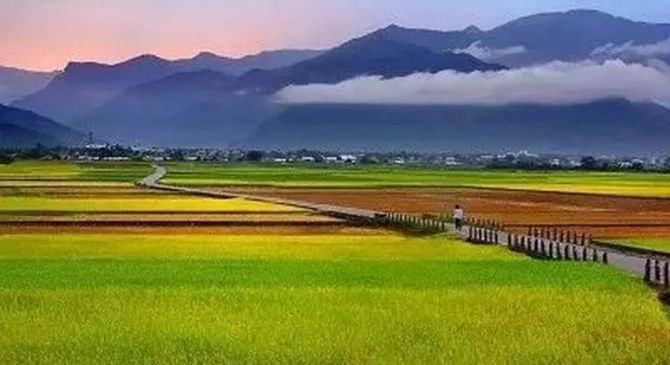 2024年農(nóng)業(yè)產(chǎn)業(yè)融合發(fā)展項目立項名單公示公告
