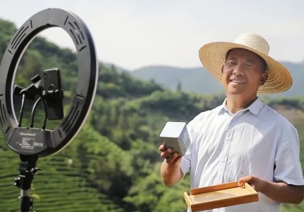 非遺傳承人孫壯志：年產(chǎn)超萬斤，讓桐城小花香譽全國