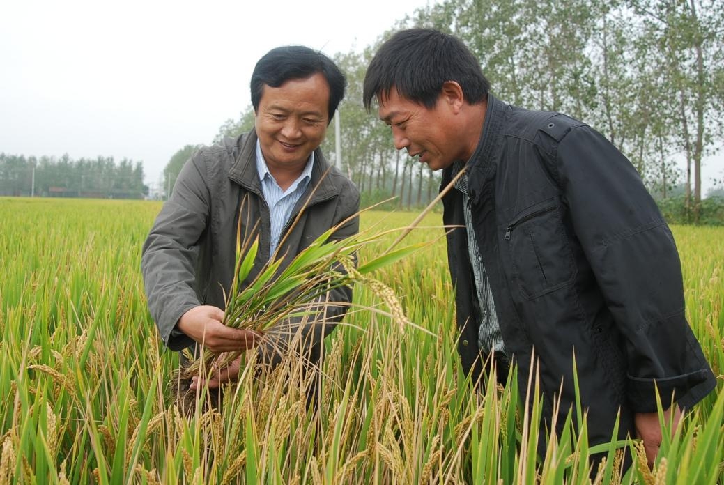 惠農(nóng)網(wǎng)農(nóng)技專家姚友華：云端送技術(shù)，做農(nóng)民朋友的貼心人